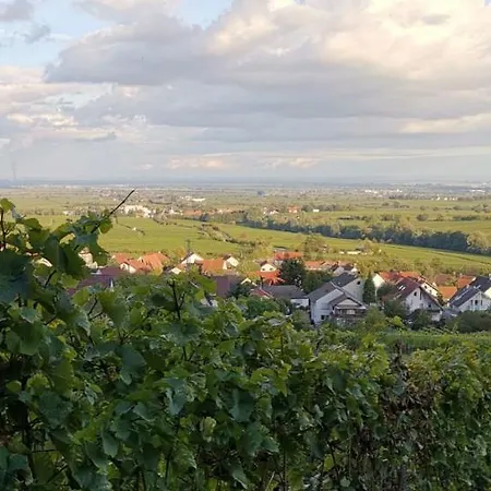 Apartment Ferienappartment Mehrblick