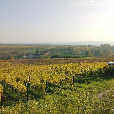 Ferienappartment Mehrblick * Gleisweiler