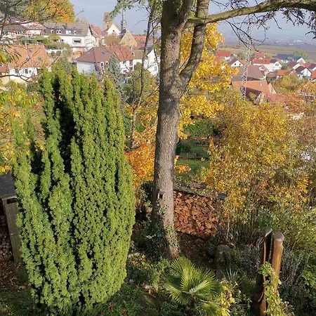 Ferienappartment Mehrblick *